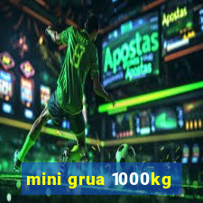 mini grua 1000kg